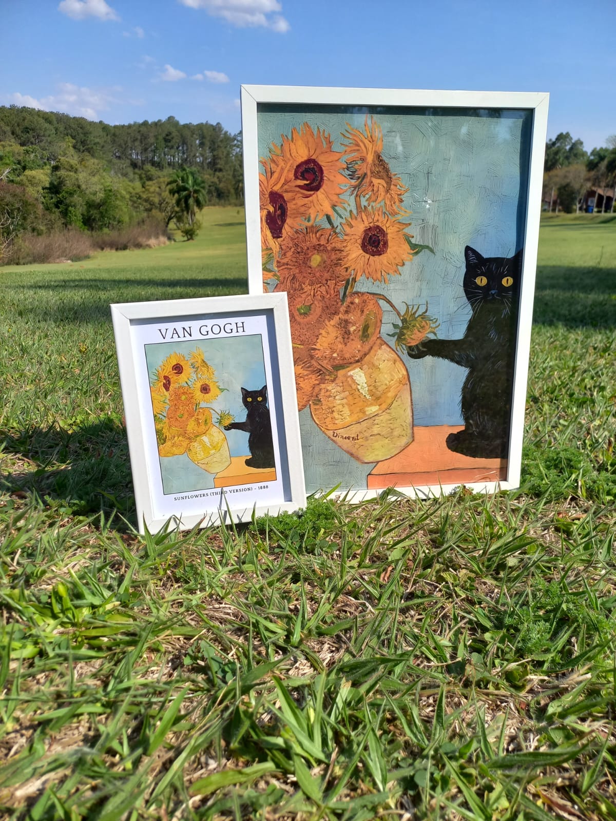 Gato e os Girassóis 🌻- Sem Texto